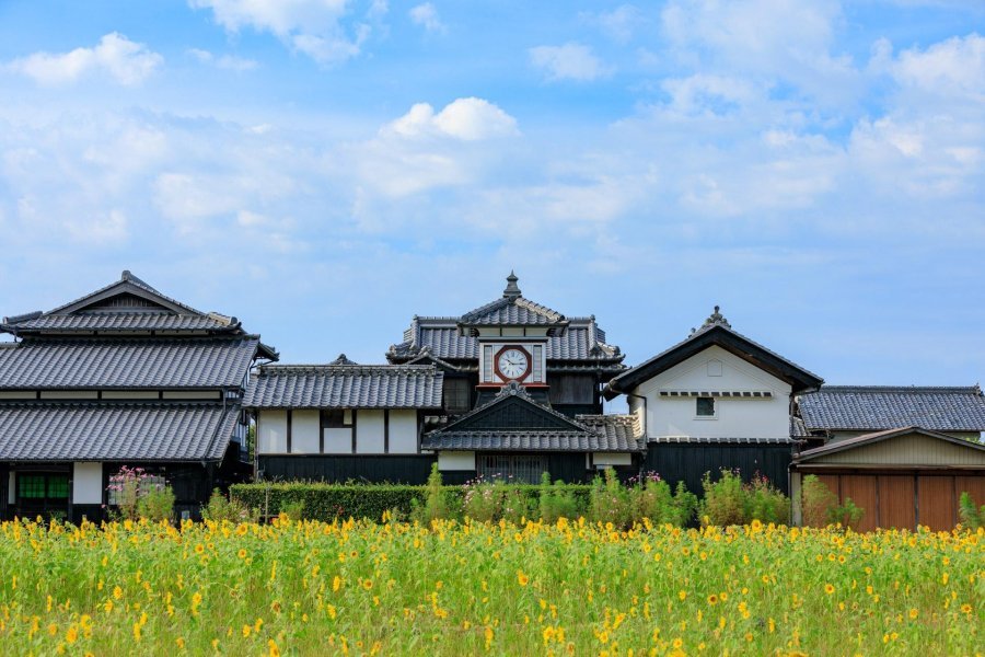 🕰️ 들시계(노라 도케이) 이미지 7